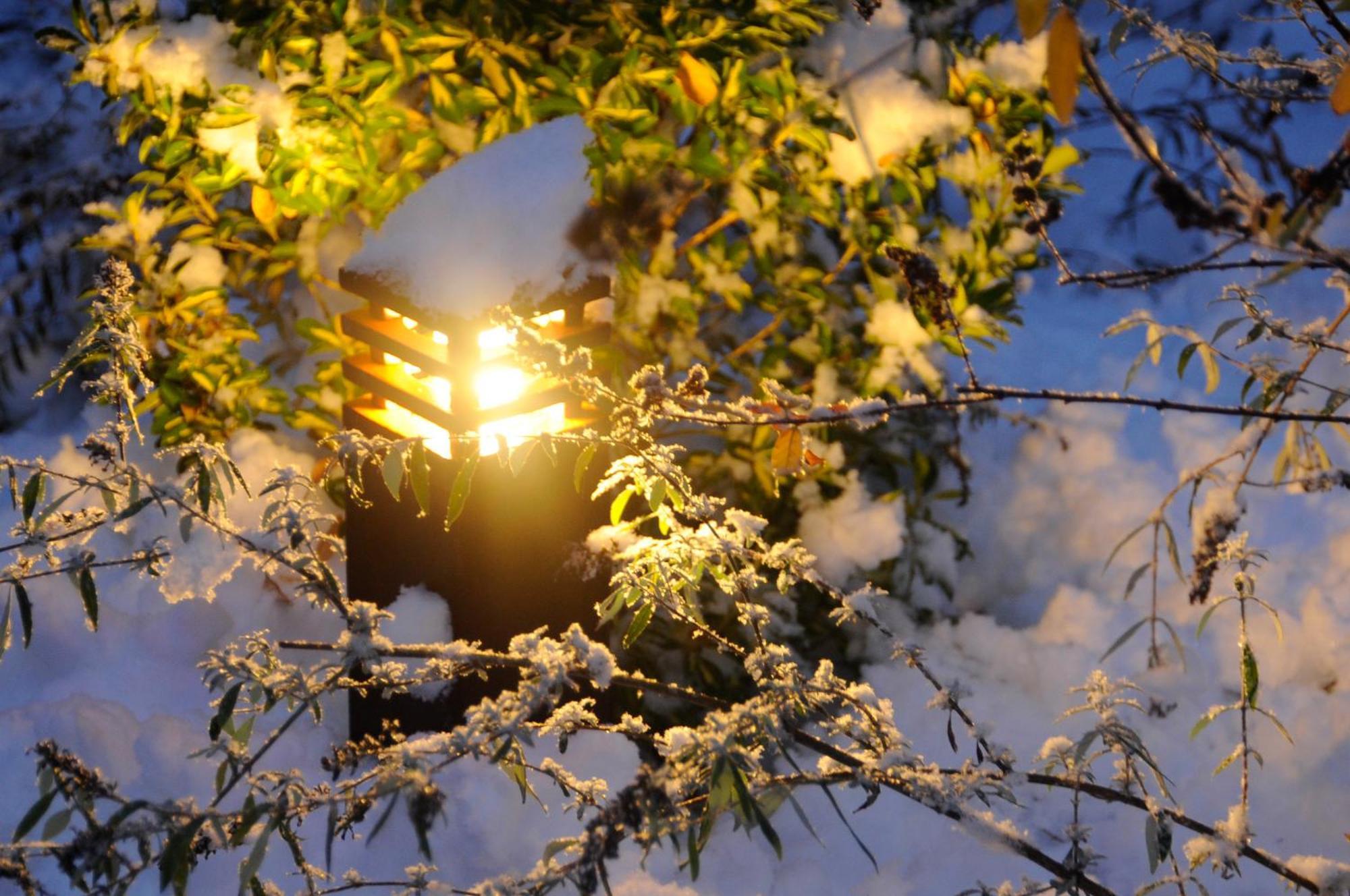 Apparthotel Gartenresidence Nalserhof Luaran gambar